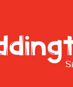 Paddington Bear Paddington Baby My First Paddington -Discoveroo Sales Store JA PB1372 4