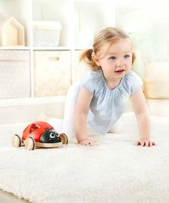 Shape-Sorter Ladybug 17 Shape-Sorter Ladybug -Discoveroo Sales Store UG HE0364 7